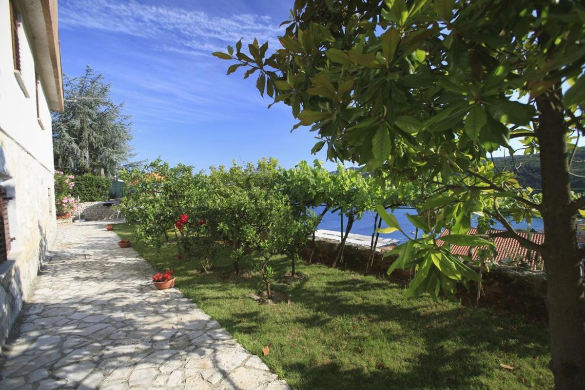 Apartments Magnolia Rabac Εξωτερικό φωτογραφία